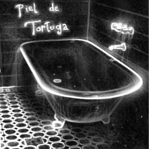 Piel de Tortuga