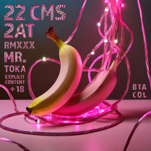 22 CMS (Explicit)