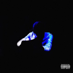 Fly Away (Explicit)