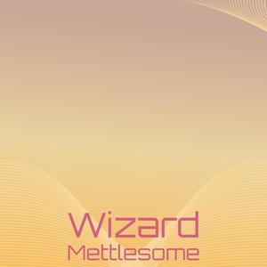 Wizard Mettlesome