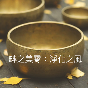 钵之美零：净化之风