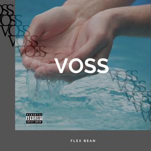 Voss (Explicit)