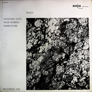 Far Trip (黑胶版)