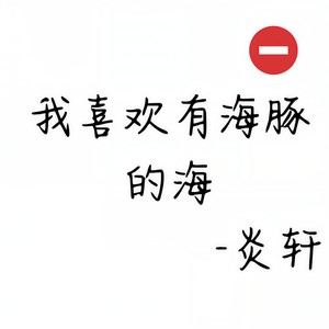 我喜欢有海豚的海