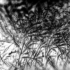 HomeSeq (Cinna Peyghamy Rework)