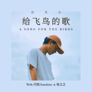 给飞鸟的歌