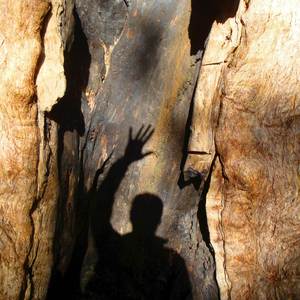 How It Feel (Explicit)