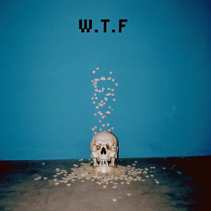 W.T.F