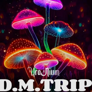 DMTrip