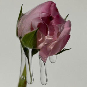 Twin, Pt. 3 (Explicit)