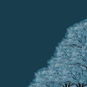 if i forget the color of your eyes would you remind me