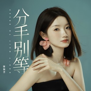 分手别等