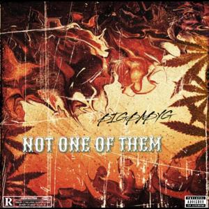 Not One Of Them (Explicit)