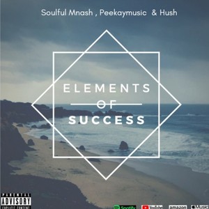 Elements of Success(feat. Hush Musiq & Peekaymusic)