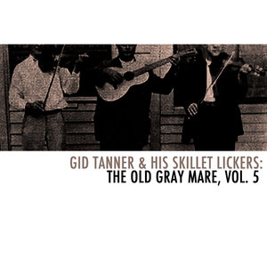 Gid Tanner & His Skillet Lickers: The Old Gray Mare, Vol. 5