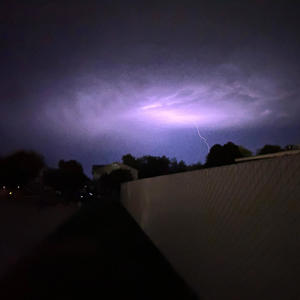 shecallmewasted (Explicit)