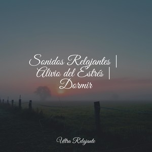 Reinando En Concentración