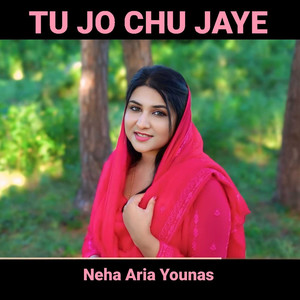 Tu Jo Chu Jaye