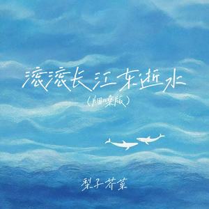 滚滚长江东逝水 (烟嗓版)封面