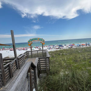 Shark (feat. Recap) (Intc) (Explicit)