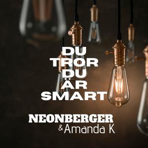 DU TROR DU ÄR SMART (feat. Amanda K)