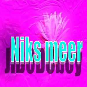 Niks meer