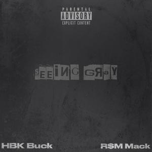 Seeing Gray (feat. R$M Mack) [Explicit]