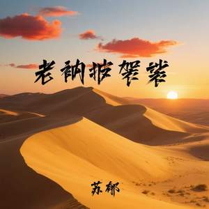老衲批袈裟
