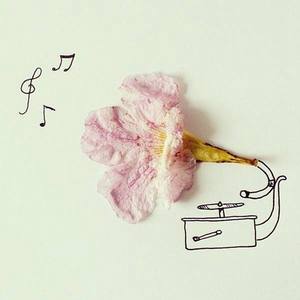 戴小西小西 - 【翻唱】秋酿