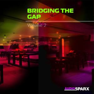 Bridging the Gap Volume 2