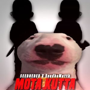 Mota Kutta