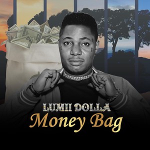 Money Bag