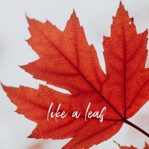 Like a Leaf