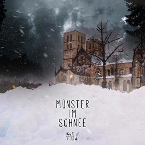 Münster im Schnee