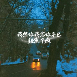 我想你我念你早已经发了疯