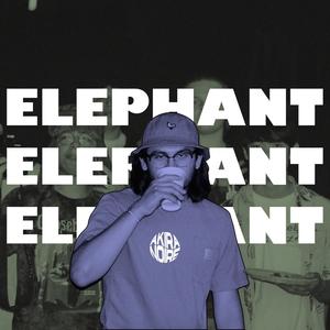 ELEPHANT (Explicit)