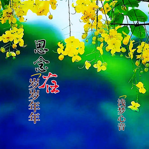 思念在岁岁年年 (独唱版)