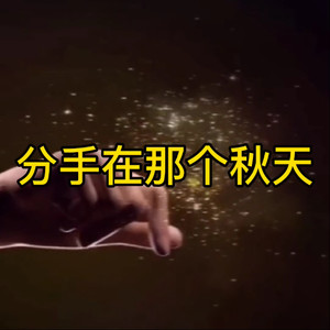 阿文 - 风的季节 (酒醉版)