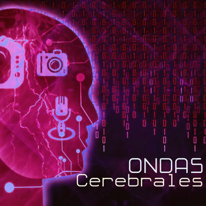 Ondas Cerebrales - Música con Sonidos Naturales para Hacer Deberes y Estudiar