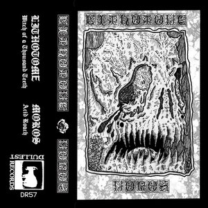 Witch of a Thousand Teeth