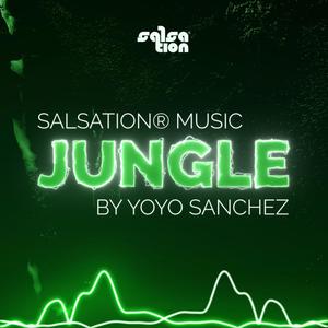 The Jungle Salsation Warm Up (Explicit)