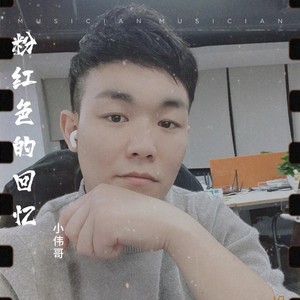 粉红色的回忆