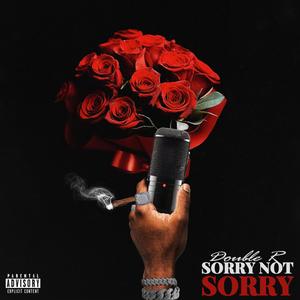 Sorry Not Sorry (Explicit)