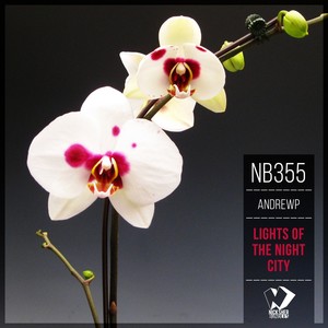 Chasing a Dream (Original Mix)