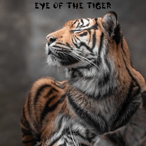 Eye Of The Tiger