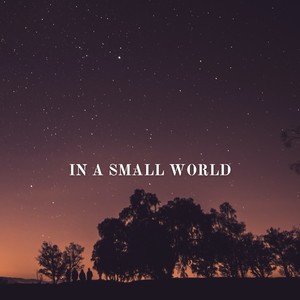 In a Small World