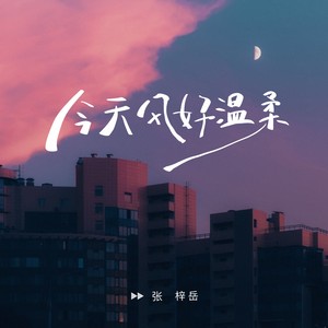 今天风好温柔 (和声伴奏)