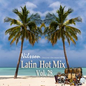 Latin Hot Mix, Vol. 28