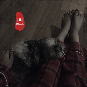 来年春暖花开时 (DJ版)