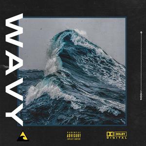 Wavy (feat. Zilla Wizard)